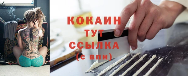 прущие грибы Осинники
