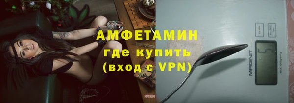 прущие грибы Осинники