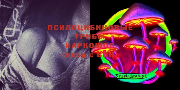 гашик Нягань