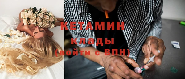 прущие грибы Осинники